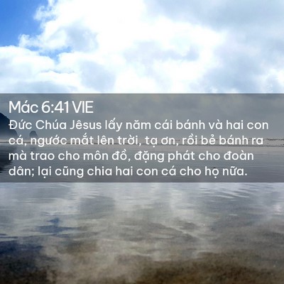 Picture 02 - Mác 6:41 VIE - Đức Chúa Jêsus lấy năm cái bánh và hai - Bible Verse Picture