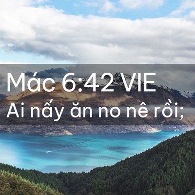 Picture 02 - Mác 6:42 VIE - Ai nấy ăn no nê - Bible Verse Picture