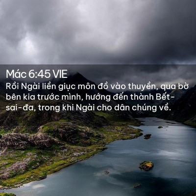 Picture 02 - Mác 6:45 VIE - Rồi Ngài liền giục môn đồ vào - Bible Verse Picture