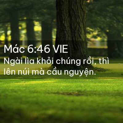Picture 02 - Mác 6:46 VIE - Ngài lìa khỏi chúng rồi, thì lên núi - Bible Verse Picture