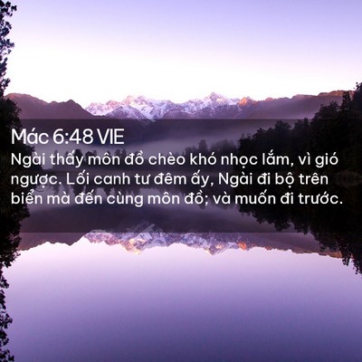 Picture 02 - Mác 6:48 VIE - Ngài thấy môn đồ chèo khó nhọc lắm, - Bible Verse Picture