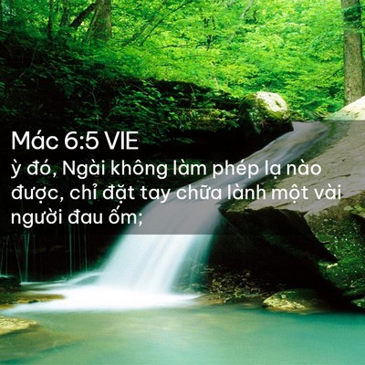 Picture 02 - Mác 6:5 VIE - ỳ đó, Ngài không làm phép lạ nào - Bible Verse Picture