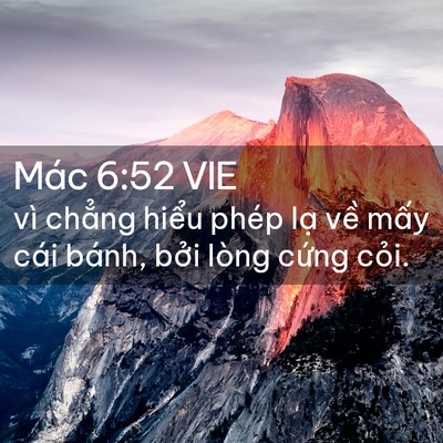 Picture 02 - Mác 6:52 VIE - vì chẳng hiểu phép lạ về mấy cái - Bible Verse Picture