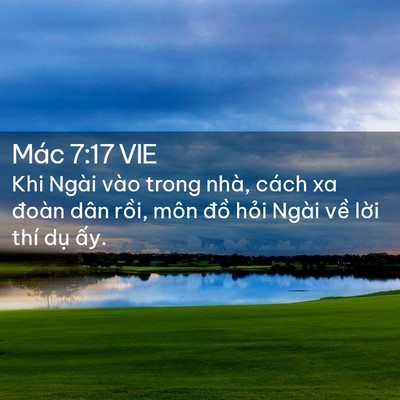 Picture 02 - Mác 7:17 VIE - Khi Ngài vào trong nhà, cách xa đoàn dân - Bible Verse Picture