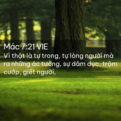 Picture 02 - Mác 7:21 VIE - Vì thật là tự trong, tự lòng người - Bible Verse Picture