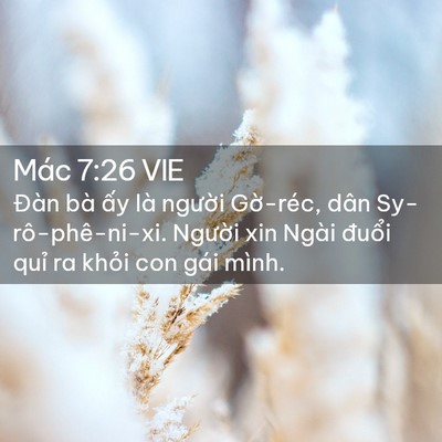 Picture 02 - Mác 7:26 VIE - Đàn bà ấy là người Gờ-réc, dân - Bible Verse Picture