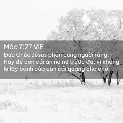 Picture 02 - Mác 7:27 VIE - Đức Chúa Jêsus phán cùng người rằng: - Bible Verse Picture