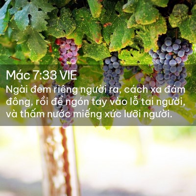 Picture 02 - Mác 7:33 VIE - Ngài đem riêng người ra, cách xa đám - Bible Verse Picture