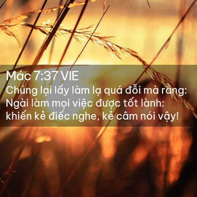Picture 02 - Mác 7:37 VIE - Chúng lại lấy làm lạ quá đỗi mà - Bible Verse Picture
