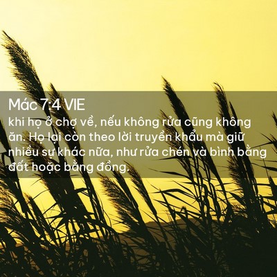 Picture 02 - Mác 7:4 VIE - khi họ ở chợ về, nếu không rửa cũng - Bible Verse Picture