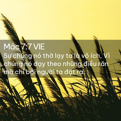 Picture 02 - Mác 7:7 VIE - Sự chúng nó thờ lạy ta là vô ích, Vì - Bible Verse Picture