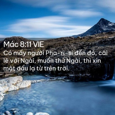 Picture 02 - Mác 8:11 VIE - Có mấy người Pha-ri-si đến đó, cãi - Bible Verse Picture
