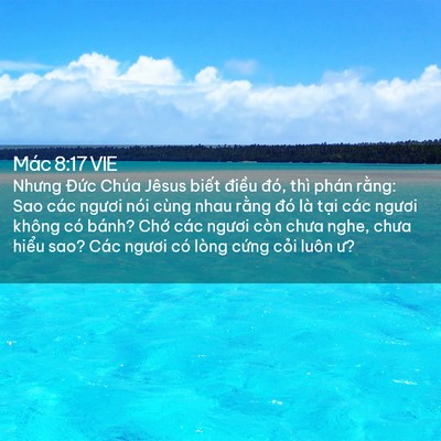 Picture 02 - Mác 8:17 VIE - Nhưng Đức Chúa Jêsus biết điều đó, - Bible Verse Picture