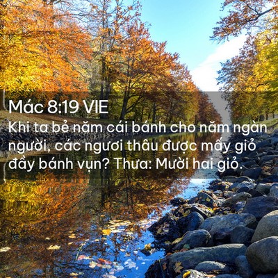 Picture 02 - Mác 8:19 VIE - Khi ta bẻ năm cái bánh cho năm ngàn - Bible Verse Picture