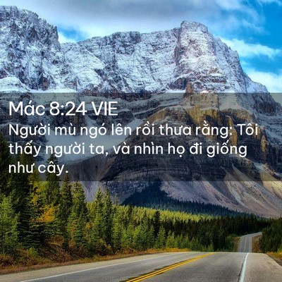 Picture 02 - Mác 8:24 VIE - Người mù ngó lên rồi thưa rằng: Tôi - Bible Verse Picture