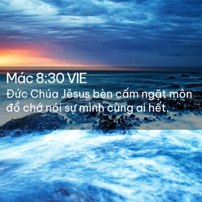 Picture 02 - Mác 8:30 VIE - Đức Chúa Jêsus bèn cấm ngặt môn đồ - Bible Verse Picture