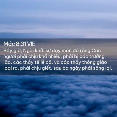 Picture 02 - Mác 8:31 VIE - Bấy giờ, Ngài khởi sự dạy môn đồ - Bible Verse Picture
