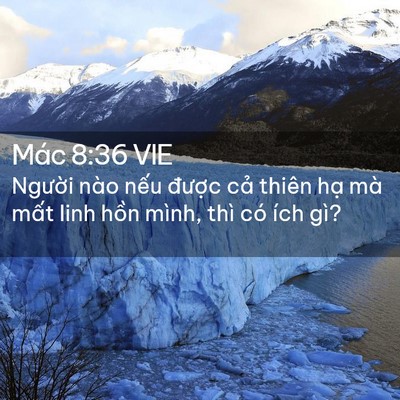 Picture 02 - Mác 8:36 VIE - Người nào nếu được cả thiên hạ mà - Bible Verse Picture