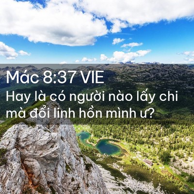 Picture 02 - Mác 8:37 VIE - Hay là có người nào lấy chi mà đổi - Bible Verse Picture