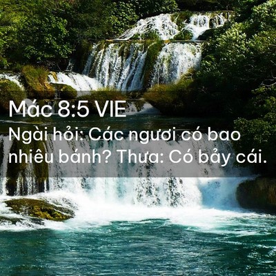 Picture 02 - Mác 8:5 VIE - Ngài hỏi: Các ngươi có bao nhiêu bánh? - Bible Verse Picture