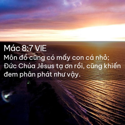 Picture 02 - Mác 8:7 VIE - Môn đồ cũng có mấy con cá nhỏ; Đức - Bible Verse Picture