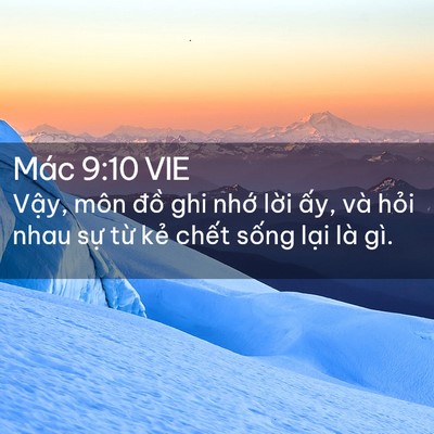 Picture 02 - Mác 9:10 VIE - Vậy, môn đồ ghi nhớ lời ấy, và hỏi - Bible Verse Picture