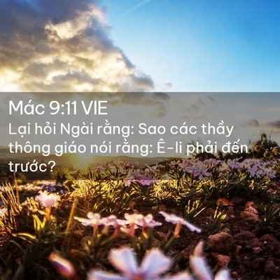 Picture 02 - Mác 9:11 VIE - Lại hỏi Ngài rằng: Sao các thầy thông - Bible Verse Picture