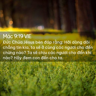 Picture 02 - Mác 9:19 VIE - Đức Chúa Jêsus bèn đáp rằng: Hỡi - Bible Verse Picture