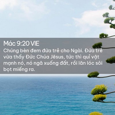 Picture 02 - Mác 9:20 VIE - Chúng bèn đem đứa trẻ cho Ngài. Đứa - Bible Verse Picture