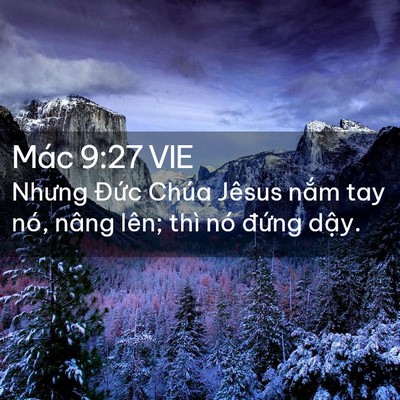 Picture 02 - Mác 9:27 VIE - Nhưng Đức Chúa Jêsus nắm tay nó, nâng - Bible Verse Picture