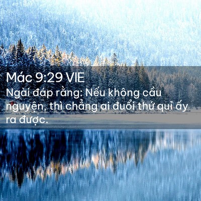 Picture 02 - Mác 9:29 VIE - Ngài đáp rằng: Nếu không cầu nguyện, - Bible Verse Picture