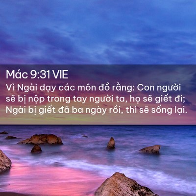 Picture 02 - Mác 9:31 VIE - Vì Ngài dạy các môn đồ rằng: Con - Bible Verse Picture