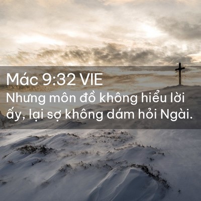 Picture 02 - Mác 9:32 VIE - Nhưng môn đồ không hiểu lời ấy, lại - Bible Verse Picture