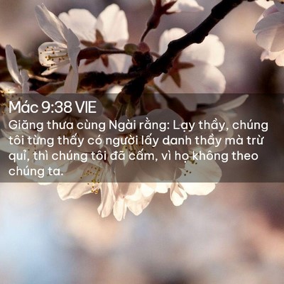 Picture 02 - Mác 9:38 VIE - Giăng thưa cùng Ngài rằng: Lạy thầy, - Bible Verse Picture