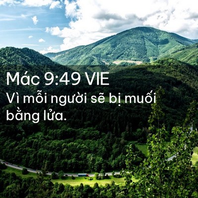 Picture 02 - Mác 9:49 VIE - Vì mỗi người sẽ bị muối bằng - Bible Verse Picture