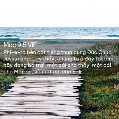 Picture 02 - Mác 9:5 VIE - Phi-e-rơ bèn cất tiếng thưa cùng Đức - Bible Verse Picture