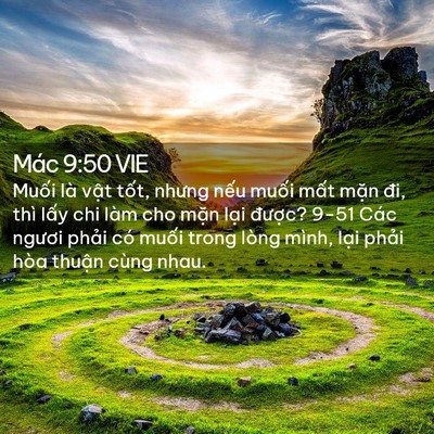 Picture 02 - Mác 9:50 VIE - Muối là vật tốt, nhưng nếu muối mất - Bible Verse Picture