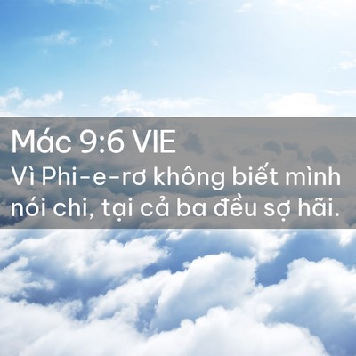 Picture 02 - Mác 9:6 VIE - Vì Phi-e-rơ không biết mình nói chi, tại - Bible Verse Picture