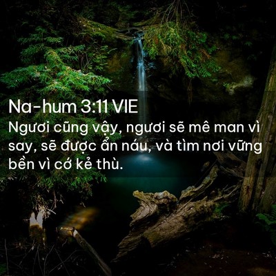 Picture 02 - Na-hum 3:11 VIE - Ngươi cũng vậy, ngươi sẽ mê man vì - Bible Verse Picture