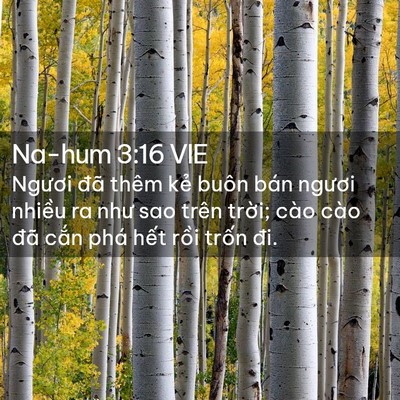 Picture 02 - Na-hum 3:16 VIE - Ngươi đã thêm kẻ buôn bán ngươi - Bible Verse Picture