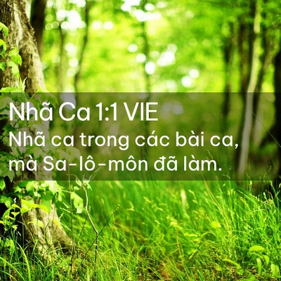 Picture 02 - Nhã Ca 1:1 VIE - Nhã ca trong các bài ca, mà Sa-lô-môn đã - Bible Verse Picture