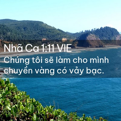 Picture 02 - Nhã Ca 1:11 VIE - Chúng tôi sẽ làm cho mình chuyền vàng - Bible Verse Picture