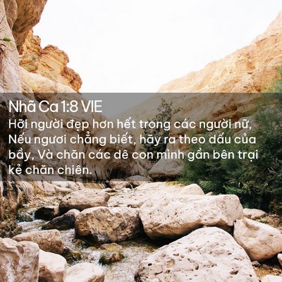 Picture 02 - Nhã Ca 1:8 VIE - Hỡi người đẹp hơn hết trong các - Bible Verse Picture