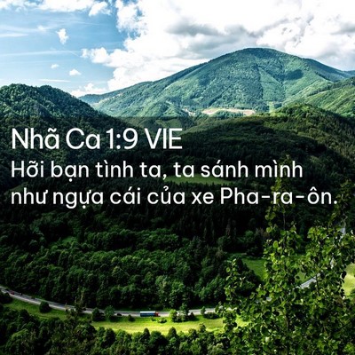 Picture 02 - Nhã Ca 1:9 VIE - Hỡi bạn tình ta, ta sánh mình như ngựa - Bible Verse Picture