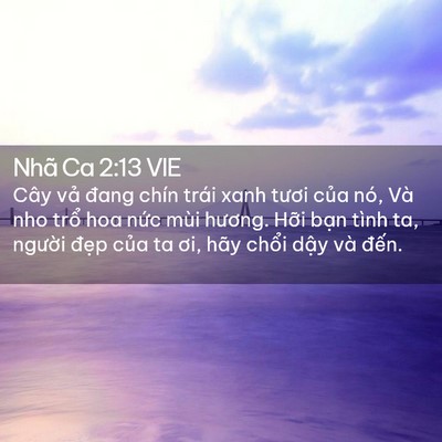 Picture 02 - Nhã Ca 2:13 VIE - Cây vả đang chín trái xanh tươi của - Bible Verse Picture