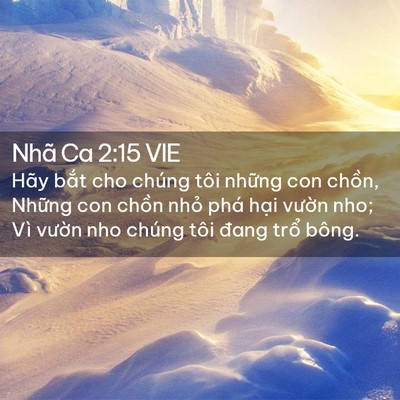 Picture 02 - Nhã Ca 2:15 VIE - Hãy bắt cho chúng tôi những con chồn, - Bible Verse Picture