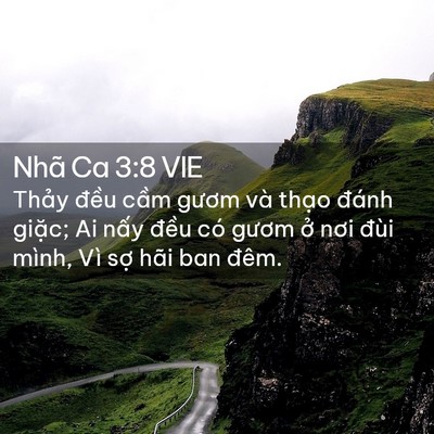 Picture 02 - Nhã Ca 3:8 VIE - Thảy đều cầm gươm và thạo đánh - Bible Verse Picture