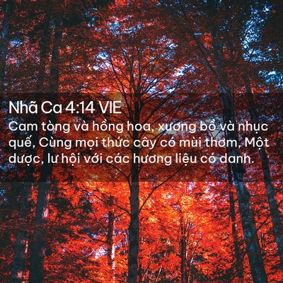 Picture 02 - Nhã Ca 4:14 VIE - Cam tòng và hồng hoa, xương bồ và nhục - Bible Verse Picture