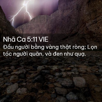 Picture 02 - Nhã Ca 5:11 VIE - Đầu người bằng vàng thật ròng; Lọn - Bible Verse Picture