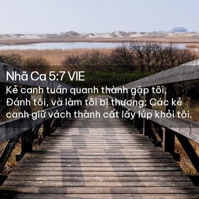 Picture 02 - Nhã Ca 5:7 VIE - Kẻ canh tuần quanh thành gặp tôi, Đánh - Bible Verse Picture